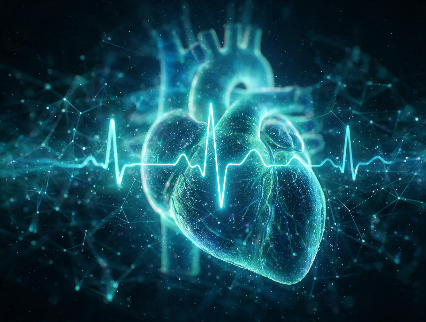 Cardiovascular and Cardio-Oncology theme illustration